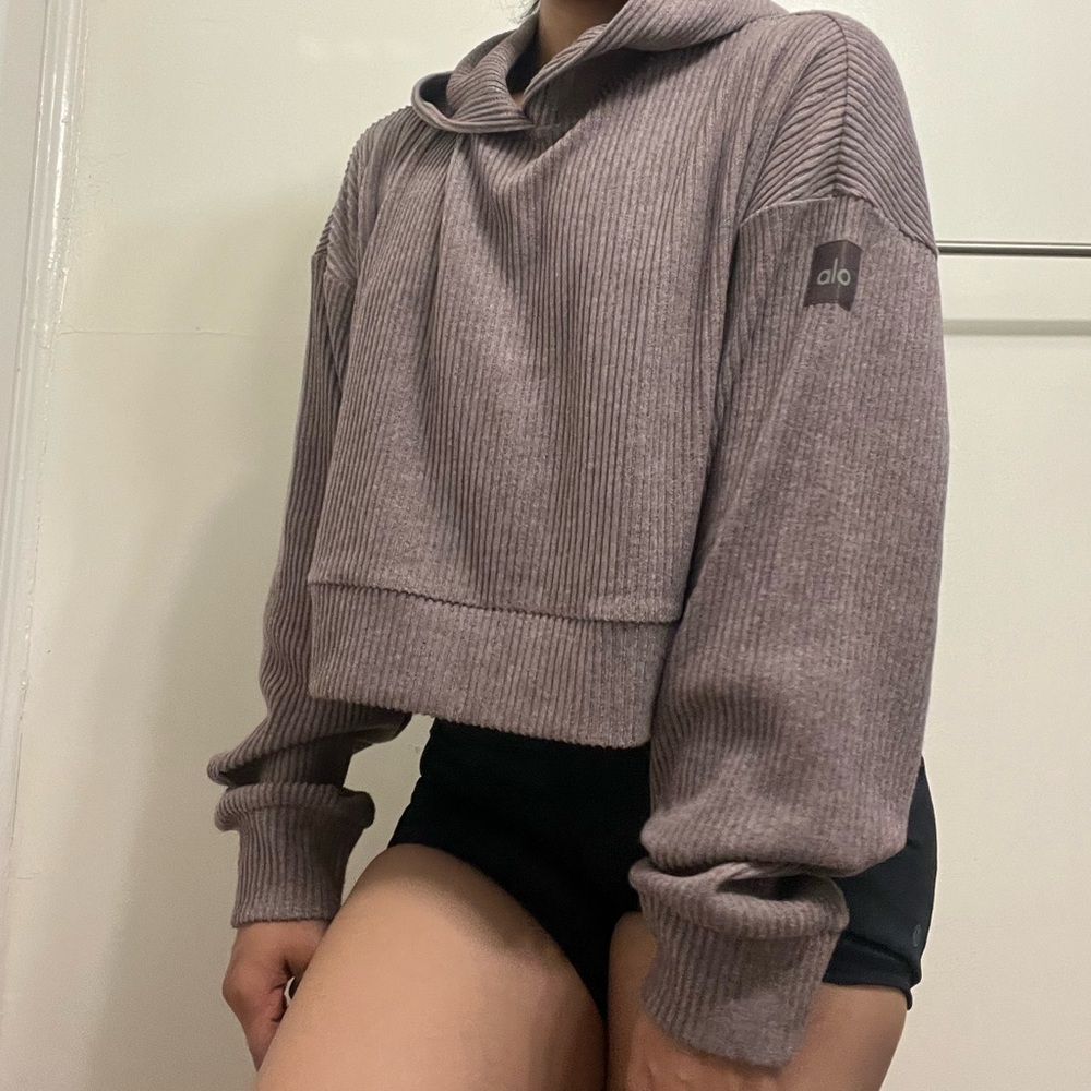 Alo Muse Hoodie in Raisinette Heather
